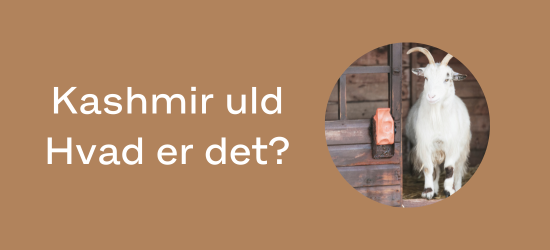 Kashmirull – Vad är det?